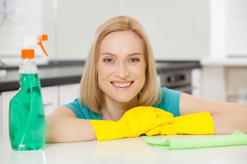 Freshly cleaned carpet fibers with improved texture after Bow carpet cleaning